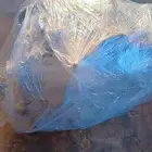 يوجد قير جيلي. ام فرند. بنراي