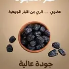 للبيع تمر عجوة المدينة المنورة
