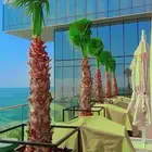 مزرعة الياسمين