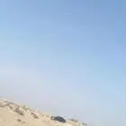 مطلوب هايلوكس