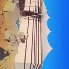 بيت شعر متحرك خيمه الصقور