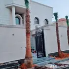 يوجد نخل عربي وواشنطني جميع المقاسات