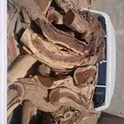 صندوق هايلكس غمارتين