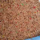 اكل طيور الحب السعر 60