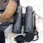 دربيل فورتكس