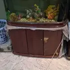 حوض سمك متر