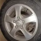 جنوط النترا للبيع