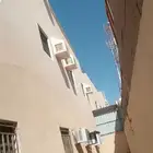 طاردوالحمام تركيب شبابيك شوك