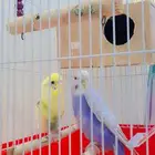 زوج عصافير بادجي