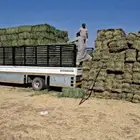 دينا نقل 7متر