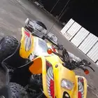 دباب تايوان الاصلي 2023