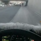 الوبد