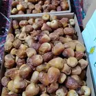 سكري فاخر عضوي