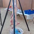 معلم شوي خارجي