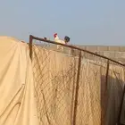 دجاج كفو
