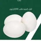 بيض بالجمله بسعر المزرعه