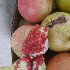 رمان بيده وتربه