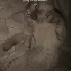 ضايعين اعمارهم ثلاث شهور ممكن الاسم لينا ولينو