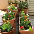 استمتع بأجمل الحدائق والشلالات في جده ومكه مع  م..اب