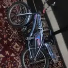 السيكل اندوزيسي اصلي