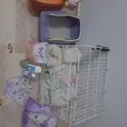 مستلزمات قطط للبيع