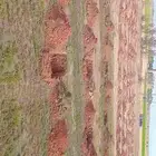 بوكلين للايجار