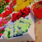 تنسيق حدائق