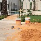 نخل زينه وشنطني ونخل عربي