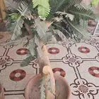 كماليات اثاث
