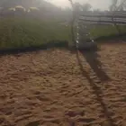 مخيم البستان - جنوب الرياض - الزويليات