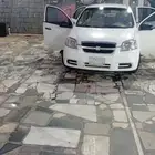 افيوشفيروليه2013