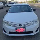 مفحوص مجدد ممشا 487