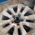 جنوط سكويا شد بلد موجود خمسه