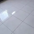 مبلط باكستاني الطيف سيل صغير
