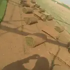 الخرج الرغيب مزرعة تيل الطبيعي سى 2000