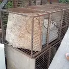 محاكر حمام 25جوز