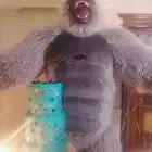 مهرجه بالرياض وخارج الرياض