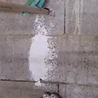 روز للبيع العدد 4