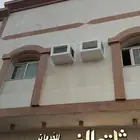 طارد الطيور