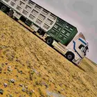يتواجد تحميل مرياع جميع الاغنام الطول 17 متر
