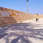 نقوم ببنا الحجر وتوريد وتركيب جميع انواع الشبوك