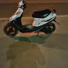 دباب بطه
