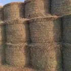 السلام عليكم ورحمه الله لفات رودس جديد ناعم طيب المذنب