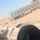 االريض السلي