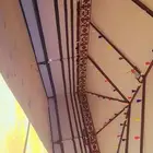 بيت شعر متحرك خيمه الصقور