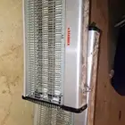 صاعقة حشرات