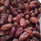تمر خضري تقريب 20 طن