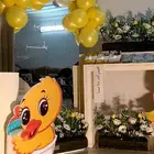 استقبال مولود