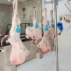 جزار يمني يبعث عن عمل اقامه سريه