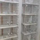 اقفاص فصال